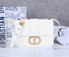 DIOR High Quality Handbags 739