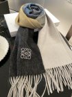 Loewe Scarves 71