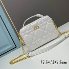 DIOR High Quality Handbags 300