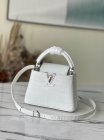 Louis Vuitton Original Quality Handbags 1508