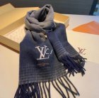 Louis Vuitton Scarves 49