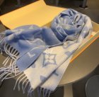Louis Vuitton Scarves 34