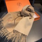 Hermes Scarves 08