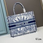 DIOR High Quality Handbags 489