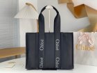 Chloe Original Quality Handbags 354