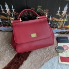 Dolce & Gabbana High Quality Handbags 139