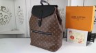 Louis Vuitton Backpack 87