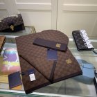 Louis Vuitton Hat & Scarve Set 25