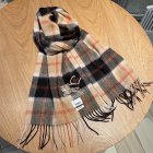 Burberry Scarves 82