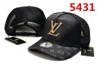 Louis Vuitton Normal Quality Hats 51