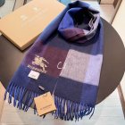 Burberry Scarves 124