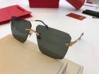 Cartier High Quality Sunglasses 771