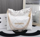 Chanel High Quality Handbags 1234