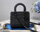 DIOR Original Quality Handbags 736