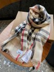 Burberry Scarves 310