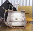 Dolce & Gabbana High Quality Handbags 692