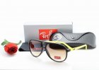 Ray-Ban Normal Quality Sunglasses 111