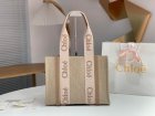 Chloe Original Quality Handbags 274