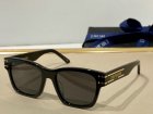 DIOR High Quality Sunglasses 1893