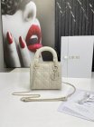 DIOR High Quality Handbags 162