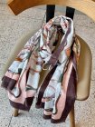 Louis Vuitton Scarves 157