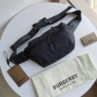 Burberry High Quality Handbags 160