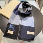 Burberry Scarves 382