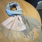 Loewe Scarves 80
