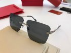 Cartier High Quality Sunglasses 772