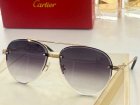 Cartier High Quality Sunglasses 1491