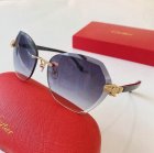 Cartier High Quality Sunglasses 787