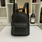 Bottega Veneta Original Quality Handbags 44