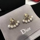 Dior Jewelry Earrings 462