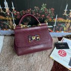 Dolce & Gabbana High Quality Handbags 225