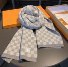Louis Vuitton Scarves 48