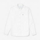 Lacoste Men's Shirts 70