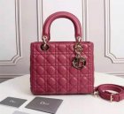 DIOR Original Quality Handbags 961