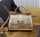 Dolce & Gabbana High Quality Handbags 351