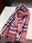 Burberry Scarves 283