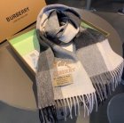 Burberry Scarves 138