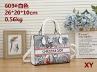 DIOR Normal Quality Handbags 191