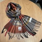 Burberry Scarves 68