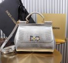 Dolce & Gabbana High Quality Handbags 353