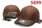 Louis Vuitton Normal Quality Hats 65