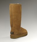 UGG Women's Shoes 137