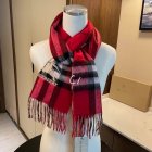 Burberry Scarves 131