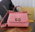 Dolce & Gabbana High Quality Handbags 352