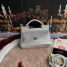 Dolce & Gabbana High Quality Handbags 193