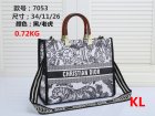 DIOR Normal Quality Handbags 179