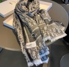 DIOR Scarves 110